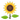 EmojiOne_sunflower_533b_mysmiley.net.png