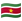 google_flag-for-suriname_948-447_mysmiley.net.png