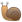 google_snail_940c_mysmiley.net.png