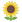 google_sunflower_933b_mysmiley.net.png