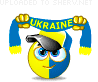 Sport_ukraine-supporter-smiley-emoticon_mysmiley.net.gif
