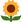 Twitter_sunflower_233b_mysmiley.net.png